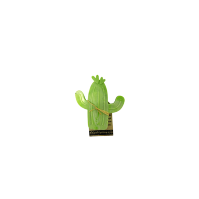 Cactus magnet lime limpi recycling